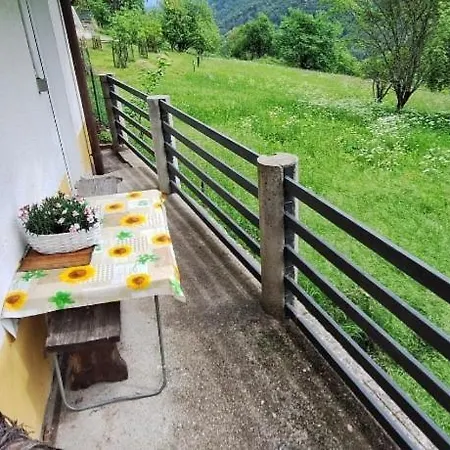 Budget Lower Quality Apartma