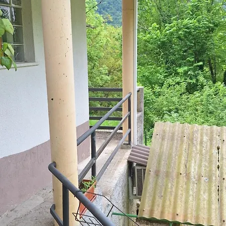 Budget Lower Quality Apartma Borjana