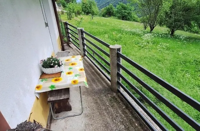 Budget Lower Quality Daire